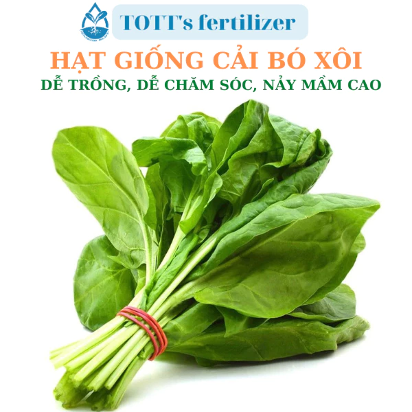 Hạt giống cải bó xôi dễ trồng TOTT's fertilizer