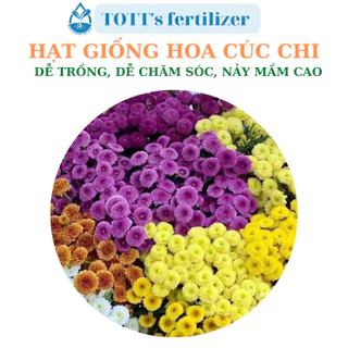 Hạt giống hoa cúc chi nhiều màu dễ trồng TOTT's fertilizer