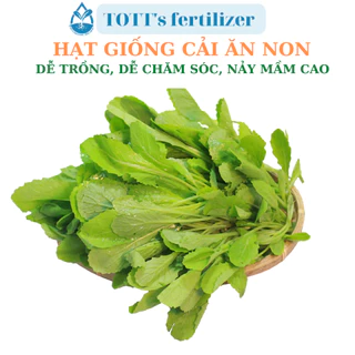 Hạt Giống Cải Ăn Non Nhỏ dễ trồng TOTT's fertilizer