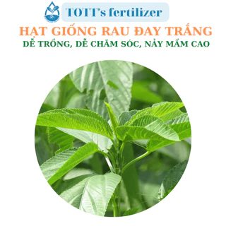 Hạt giống Rau đay trắng dễ trồng TOTT's fertilizer