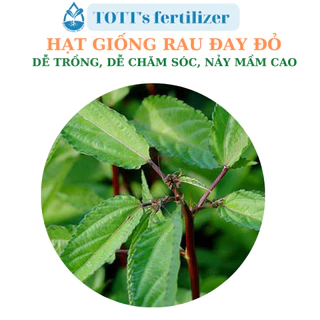 Hạt Giống rau đay đỏ dễ trồng TOTT's fertilizer