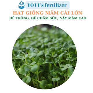 Hạt giống Mầm cải lớn dễ trồng TOTT's fertilizer