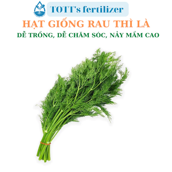 Hạt Giống thì là dễ trồng TOTT's fertilizer