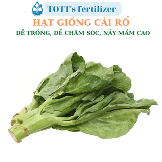 Hạt Giống cải rổ dễ trồng TOTT's fertilizer