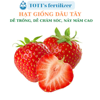 Hạt giống dâu tây dễ trồng, dễ nảy mầm TOTT's fertilizer