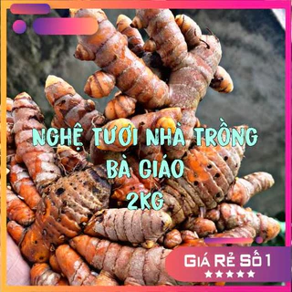 Củ Nghệ Nhà Trồng Bà Giáo - 2KG (Thu hoạch trong ngày)