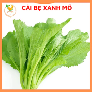 Hạt giống rau cải bẹ xanh mỡ 20gram, hạt giống chuẩn tỷ lệ nảy mầm cao