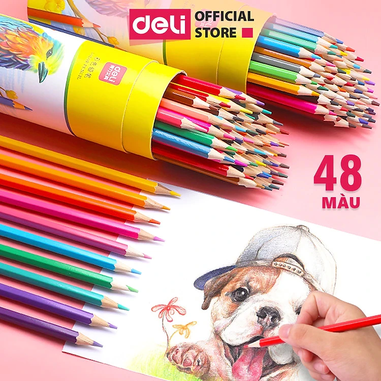 Bút Chì Màu Gốc Dầu Dạng Cốc/Lon Deli - 12/24/36/48 Màu Sắc Tươi Sáng Không Dễ Gãy Màu Chì Học Sinh Tô Vẽ