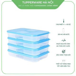 Hộp Trữ Đông Tupperware Freezermate 650ml Dẹt Kín Khí Kín Mùi Tuyệt Đối