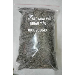 1KG Hạt Giống Hoa Sao Nhái ( cánh bướm ) F1 Mix Nhiều Màu Loại Dễ Trồng, Hoa Nở Đẹp. Ảnh thật 100% Trồng du lịch