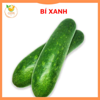 Hạt giống bí xanh, hạt giống chuẩn tỷ lệ nảy mầm cao