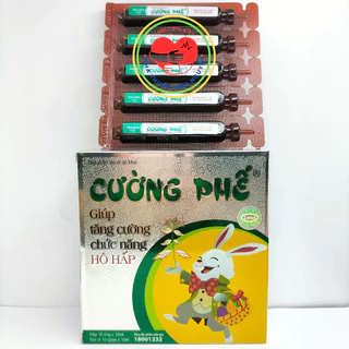 CƯỜNG PHẾ hộp 10 ống - Giúp bổ phế, hỗ trợ giảm ho, tăng cường chức năng hô hấp cho trẻ