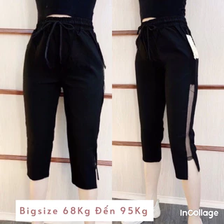 QUẦN LỮNG PHỐI LƯỚI BIGSZIE 68-95kg