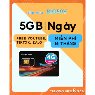 SIM 4g vina D89Y 16thang 12VD120M TD49 100GB/THANG VD89P  BIG50Y 14T 5G/NGÀY NGHE GỌI MIỄN PHÍ 1 NĂM K NẠP TIỀN