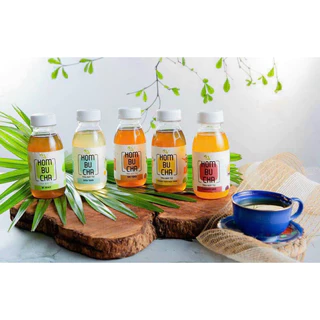 Trà Uống Liền VGreen Kombucha đẹp da , tăng cường hệ miễn dịch - 5 vị - 250ml