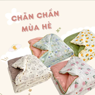 Chăn chần bông hè Cotton Đũi REE Bedding mềm mát đắp siêu thích CH214