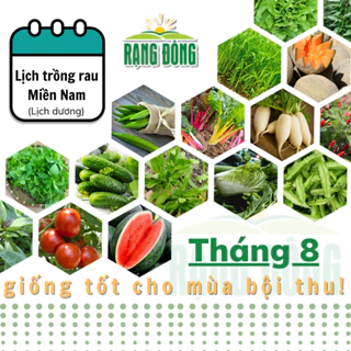 Hạt giống Rau Củ Quả trồng theo mùa ở miền NAM, tháng 8 này trồng rau gì? - Hạt giống Rạng Đông