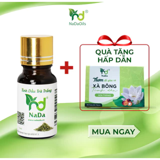 [TẶNG XÀ BÔNG HANDMADE ] Tinh dầu Trà Trắng nguyên chất Nada | Kiểm định QT3 | Giảm đau nhức, ngủ ngon, thư giãn