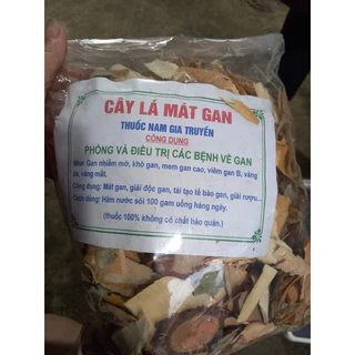 Cây mát lá gan - Dược liệu gia truyền