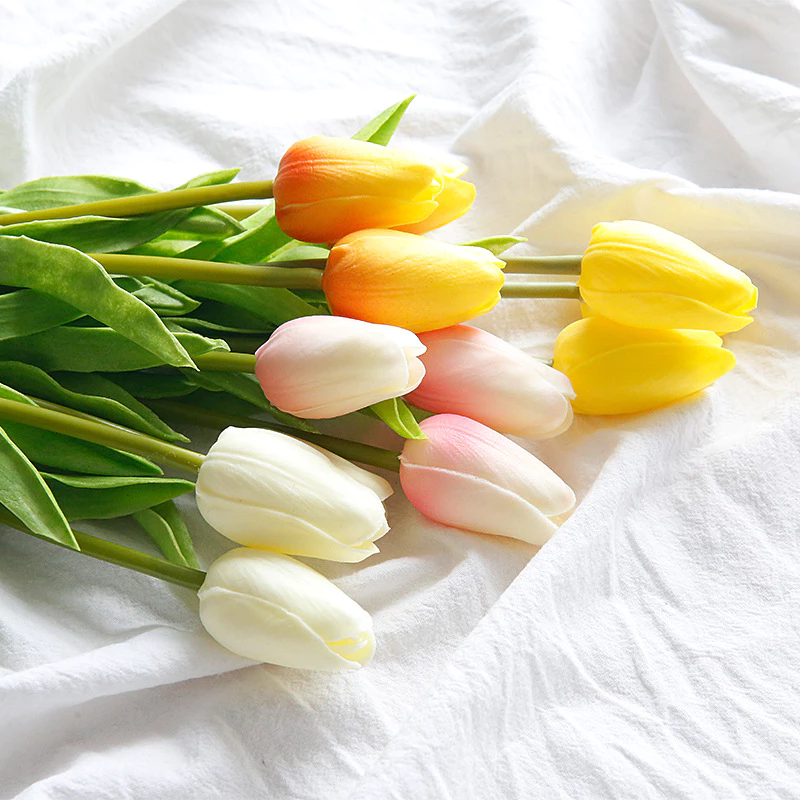 Hoa tulip ( nhiều màu)