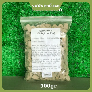 Đá Pumice trồng xương rồng sen đá kiểng lá (size 1-2cm) Đá bọt Pumice trộn đất trông cây có nhiều size để lựa chọn