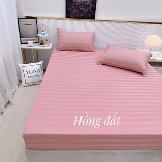 [HÀNG XỊN] SET GA GỐI LẺ KHÁCH SẠN COTTON 3F ( ẢNH SHOP TỰ CHỤP )