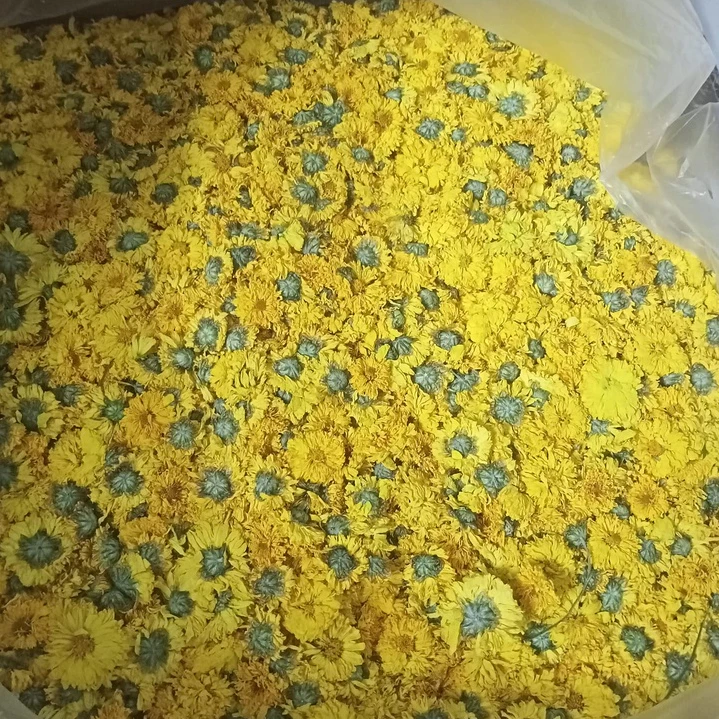 [Loại Siêu VIP] Trà Hoa Cúc Vàng Sấy Khô Sạch 200g (ảnh thật)