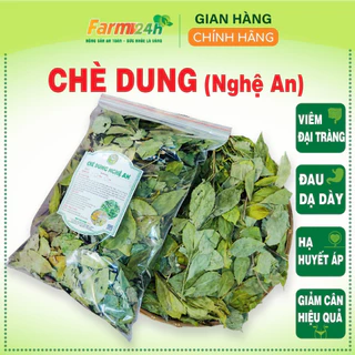 Chè Dung Nghệ An, giảm huyết áp, cực tốt cho ai đau dạ dày, trợ tiêu hóa, thanh lọc cơ thể, tiêu mỡ, giảm cân [1kg]