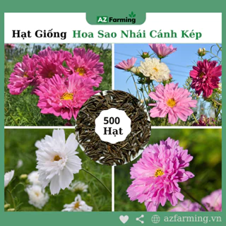 Hạt Giống Hoa Sao Nhái Cánh Kép - Gói 500 Hạt - AZ Farming