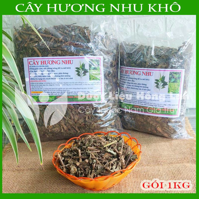 CÂY HƯƠNG NHU khô sạch đóng gói 1kg - congtyduoclieuhonglan