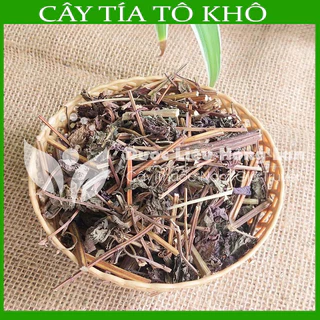 Lá Tía Tô khô sạch đóng gói 250gram - Công Ty Dược Liệu Hồng Lan