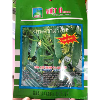 HẠT GIỐNG DƯA LEO XANH F1 (VA.118) LOẠI 10G