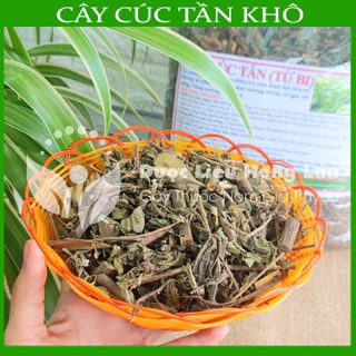 Thảo dược CÂY TÚC TẦN (ĐẠI BI, TỪ BI) khô sạch đóng gói 500gram