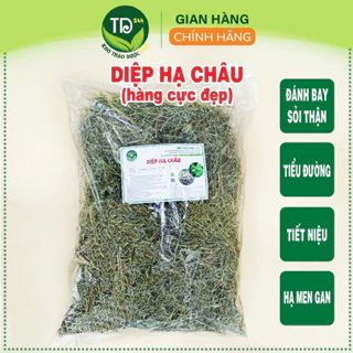 Diệp hạ châu (cây chó đẻ răng cưa), đánh bay sỏi thận, tiểu đường, hỗ trợ hạ men gan & cải thiện sức khỏe gan [500 gr]