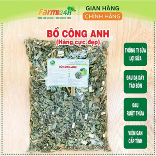 Bồ công anh Nghệ An khô thanh nhiệt, mát sữa, tốt cho mẹ sau sinh, làm sạch và mát cơ thể, 100% thiên nhiên | Farm24h