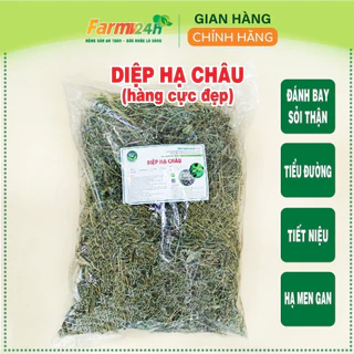 [1kg] Diệp hạ châu (cây chó đẻ) đánh bay sỏi thận, tiểu đường, tiết niệu, tốt cho gan, hạ men gan, hạ mỡ máu | Farm24h