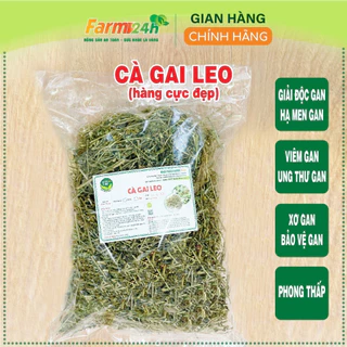 Cà gai leo Hòa Bình, giải độc, hạ men gan, làm mát gan, bảo vệ lá gan cho gia đình, thảo dược sạch 100% | Farm24h