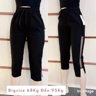 Quần lửng phối lưới bigsize 68kg-95kg