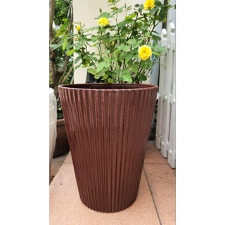 chậu nhựa trồng cây dáng cao, chậu gân sọc 24x30cm