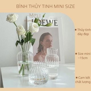 Lọ thủy tinh mini size, bình cắm hoa nhỏ xinh