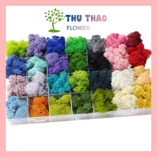 Rêu Tuần Lộc (10gr) nhiều màu sắc trang trí tiểu cảnh, handmade hoa khô