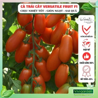 Gói 5 hạt giống cà chua chịu nhiệt Versatile Fruit F1 độ ngọt cao dễ trồng quanh năm