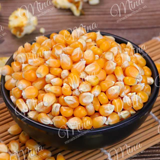 Ngô Mỹ nổ bắp rang bơ (Popcorn)