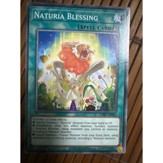 bài yugioh: naturia blessing