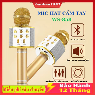 Micro hát Karaoke cầm tay mini bluetooth tích hợp Loa Bluetooth đa năng 6in1 WS-858 - Mic cầm tay mini hát karaoke