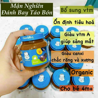 MẬN GERBER NGA mẫu mới DATE 2025