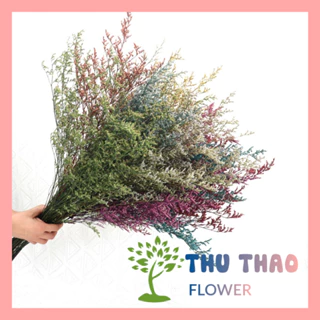 Hoa Sao Khô (10Gr) trang trí decor, hoa khô trang trí nhà cửa, quà handmade