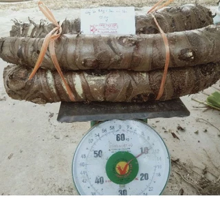 Bạc hà núi 10kg