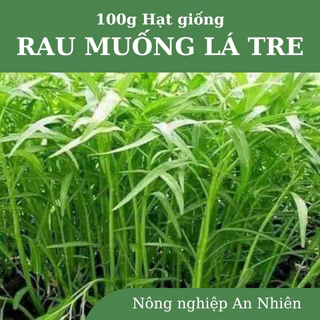 Hạt giống rau muống Lá Tre Cao Sản, gói 100g. dễ trồng, nhanh thu hoạch