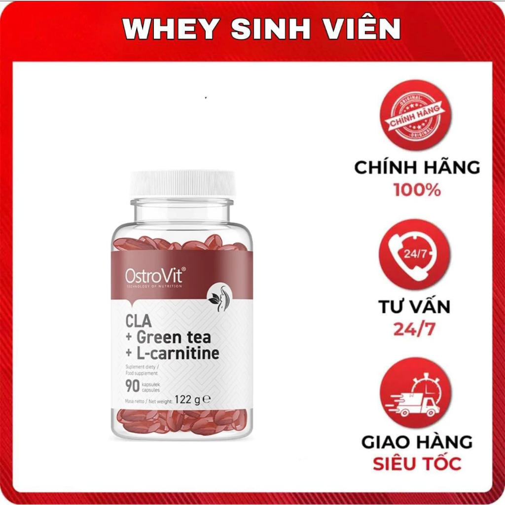 CLA + CARNITINE + GREEN TEA - ĐỐT MỠ TỰ NHIÊN, KHÔNG GÂY MỆT NGƯỜI (90 VIÊN) TẠI VUAGYM WHEYSINHVIEN